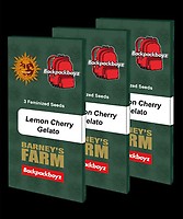 Lemon Cherry Gelato Feminized Seeds