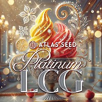 Platinum Lemon Cherry Gelato Feminized Seeds