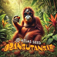 Orangutangie Feminized Seeds