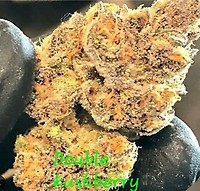 Double Kushberry Feminized Seeds