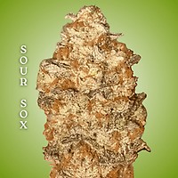 Sour Sox Clones