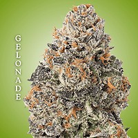 Gelonade Clones