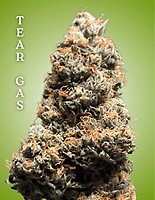 Tear Gas Clones