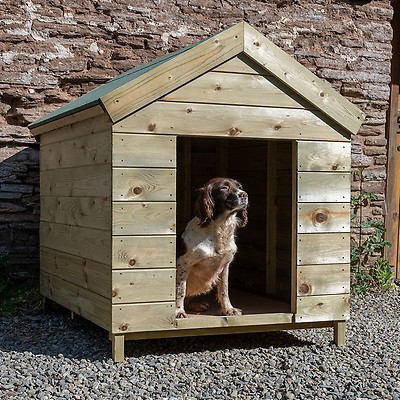 Outdoor dog kennel sales 10x10x6