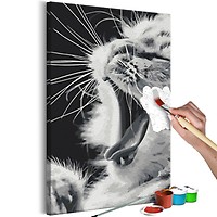 Malen Nach Zahlen Kit – Süße Bunte Katze, 40x50 Cm, Mit Acrylfarben & Pinseln, Für Erwachsene & Kinder