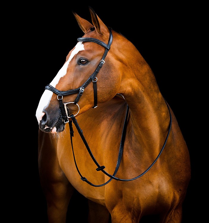 Sac de kit Horseware Signature – Equestrian Sport