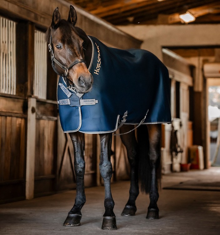 Couverture D'écurie Cheval Baker Curvon 68" - Poids Lourd Qualité Supérieure, Motif écossais