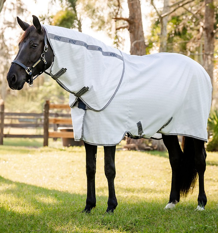 Chemise De Présentation Horseware Taille 12 - Neuve, Pour Concours Ou équitation