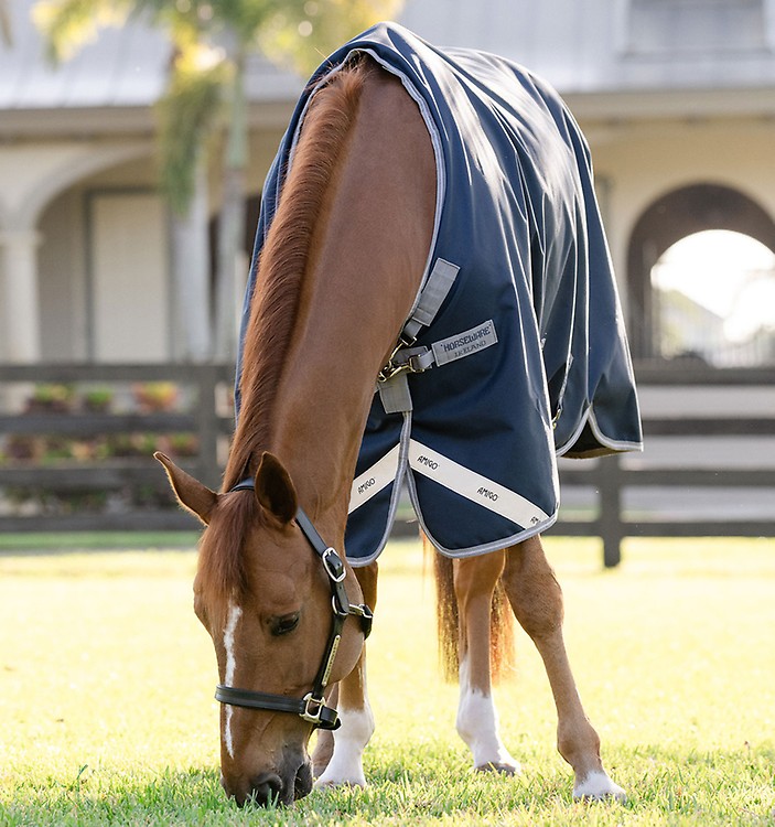 Tapis De Douche Avec Capuche Rambo XL - Horseware - Neuf