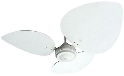 Ceiling Fans Wall And Ceiling Light Lighting Leroy