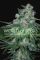 Ketama Feminised Seeds