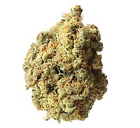 AK - 020 Feminised Seeds