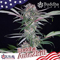 Buddha Zkittlez Auto Feminised Seeds