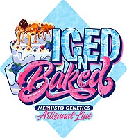 Iced 'n' Baked Auto Feminisiert Saatgut