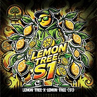 Lemon Tree S1 Feminisiert Saatgut