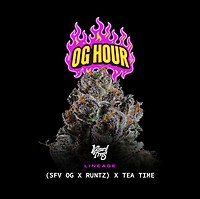 OG Hour Feminisiert Saatgut
