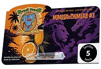 Mimosa x Chimera #3 Feminisiert Samen