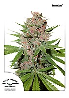 Passion Fruit Feminised Seeds