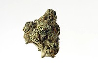 AK Choco Kush Feminised Seeds