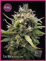 La Rica Classic THC Feminised Seeds