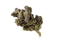 Blue Magic Feminised Seeds