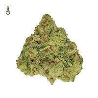 Skywalker Saga Feminised Seeds