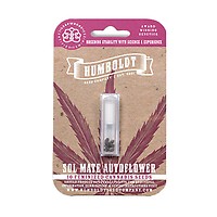 Sol Mate Auto Feminised Seeds