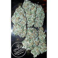 Elite Star Killer Regular Seeds