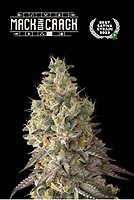 Mack & Crack Auto Feminised Seeds