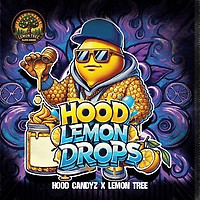 Hood Lemon Drops Feminised Seeds