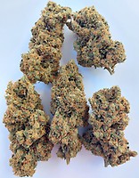 Brume of Incense Ltd Edition Feminised Seeds