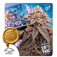 Slush Mint Cake BX1 Regular Seeds