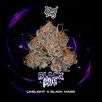 Black Light Feminised Seeds