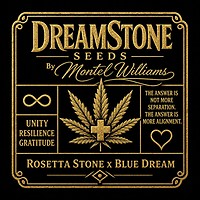 DreamStone By Montel Feminised Seeds