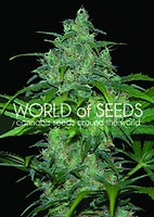 Wild Thailand Feminised Seeds