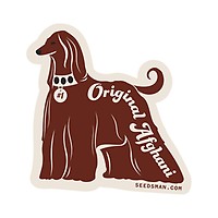 Original Afghani #1 Régulière Semences