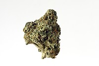 AK Choco Kush Feminised Seeds