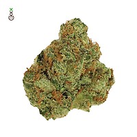 Fatkid's Cake Feminised Seeds