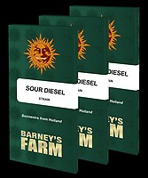Sour Diesel Féminisée Graines