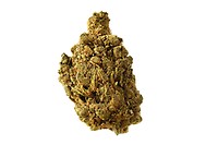 Blue Amnesia Auto Feminised Seeds