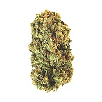 Compromise CBD Feminised Seeds (Version 1)