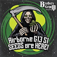 Airborne G13 S1 Feminizowane Nasiona