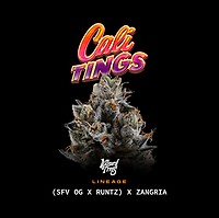 Cali Tings Feminizowany Nasiona