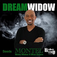 Montel's Dream Widow Feminizowany Nasiona