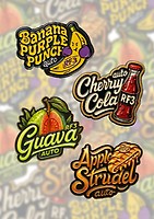 Szybko Buds Mix Pack Auto RF3 Feminizowany Nasiona