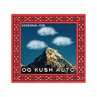 OG Kush Auto Feminised Seeds