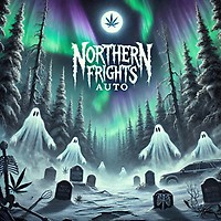 Northern Frights Auto Feminised Seeds - BULK x 25