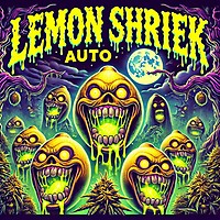 Lemon Shriek Auto Feminised Seeds - BULK x 25