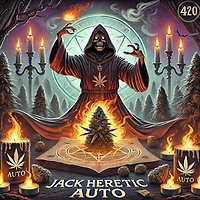 Jack Heretic Auto Feminised Seeds - BULK x 25