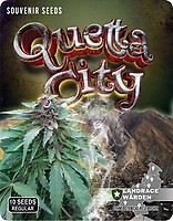 Quetta City Regular Seeds